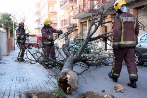 Bombers talant un arbre caigut al barri de les Comarques, a Valls