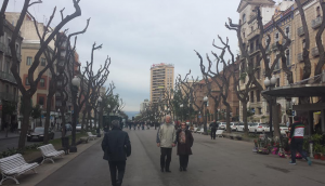 Rambla Nova de Tarragona amb els arbres ja podats
