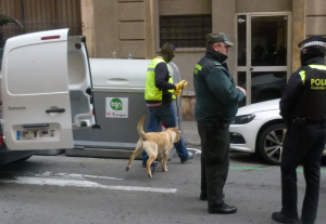 S'han  utilitzat gossos per fer l'escorcoll a l'habitatge. Foto: Adrià Recasens / Tarragona21