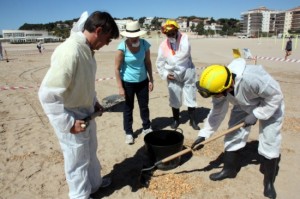 Tècnics i voluntaris aprenen com retirar la contaminació de la sorra de la platja. Foto: ACN