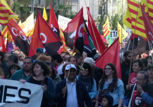 Banderes, cartells, pancartes i clams han destacat entre la multitud