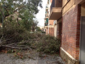 Els efectes de la llevantada s'han deixat sentir als barris de Ponent