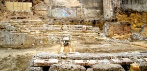 El teatre romà ha estat recuperat per la seva visita Foto:Arqueoxarxa