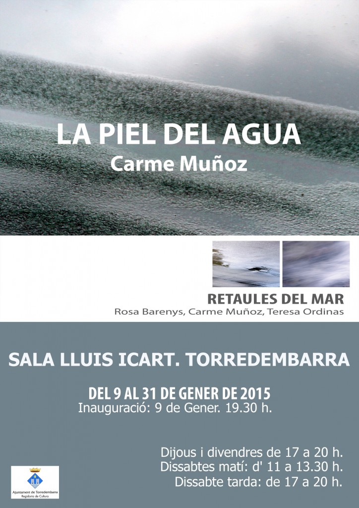 Exposició de Carme Muñoz a la Sala Lluís d'Icart