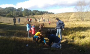 Un moment de la plantada col·lectiva