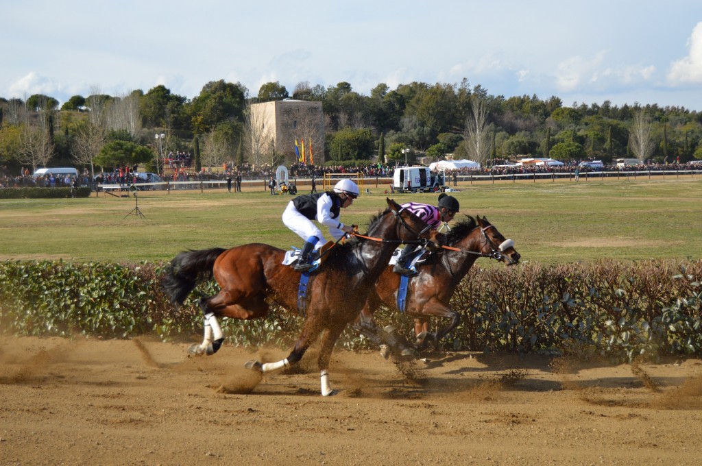 Els cavalls han tornat a protagonitzar les festes de Vila-seca