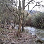 La llera del riu Gaià, al Pont d’Armentera, sanejada
