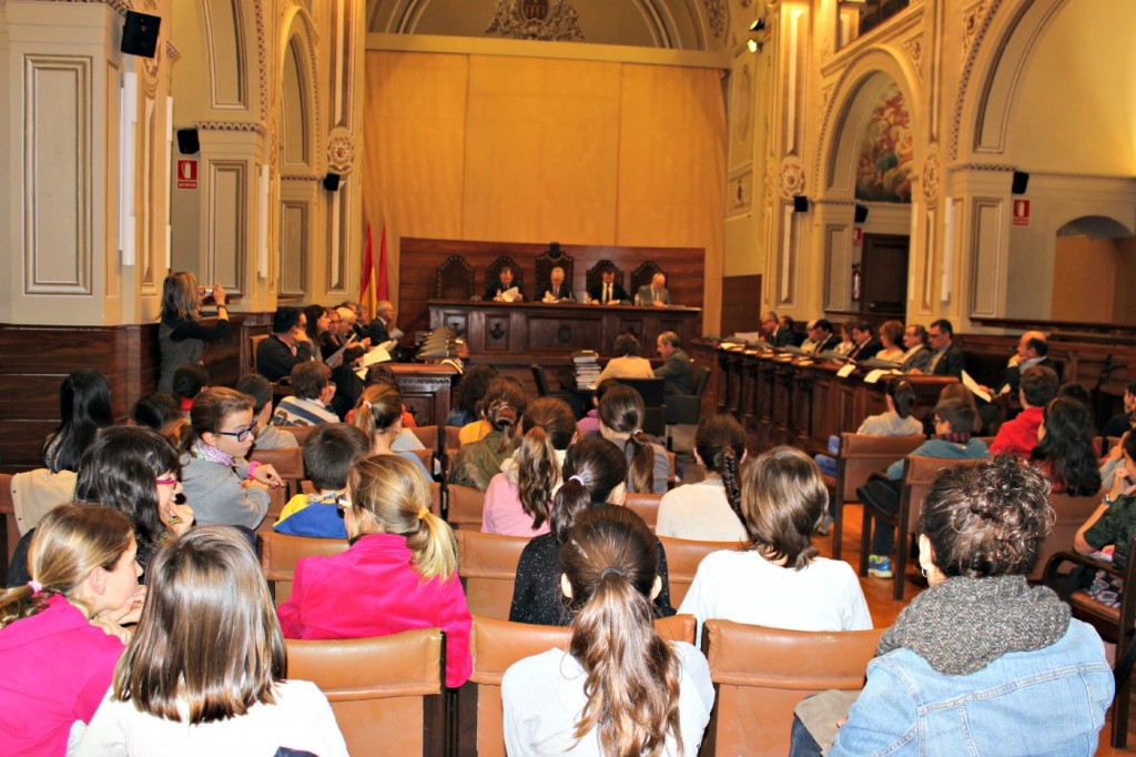 Imatge del Ple de la Diputació. Foto: Tarragona21
