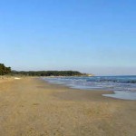 Ciutadans aposta per un tractament integral del litoral tarragoní