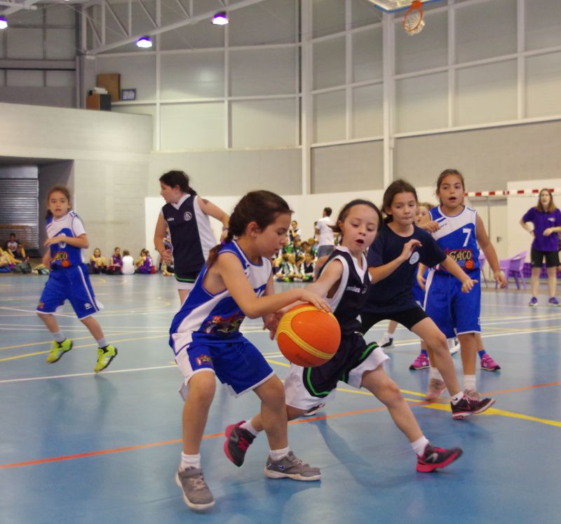 Jugadores al torneig de bàsquet i minibàsquet celebrat a Tarragona. Foto: Cedida