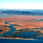 En Comú Podem considera que el Pla Hidrològic de la Conca de l’Ebre ‘condemna el futur del Delta’