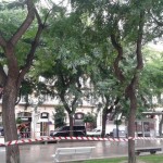 Protecció Civil demana prudència per l’arribada de fort vent a Tarragona