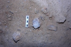 Restes trobades al jaciment de La Canonja