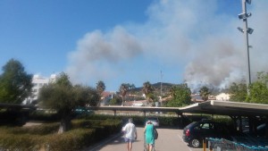 Vista parcial de l'incendi i les urbanitzacions. Foto: Tarragona21