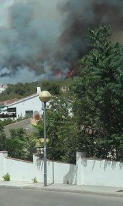 Imatge de la columna de fum que surt darrere la urbanització. Foto: Tarragona21