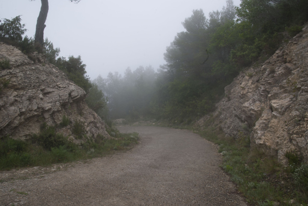 Un sender de la Vall de Llors. Foto: Cedida