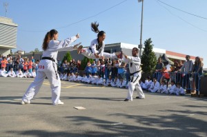 Una imatge de la Festa de l'Esport de Torredembarra del 2017. Foto: Cedida