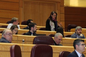 La senadora d'ERC per Tarragona Laura Castel, durant la seva intervenció