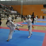 280 esportistes participaran al Campionat d’Espanya Infantil de Karate a Torredembarra
