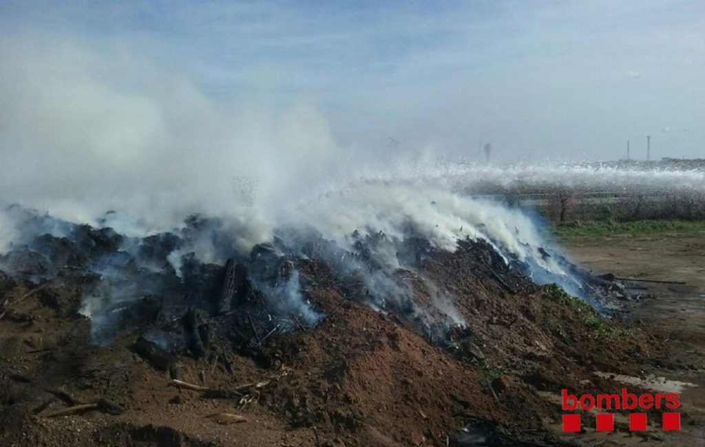 Imatge de les restes vegetals incendiades. Foto: Bombers
