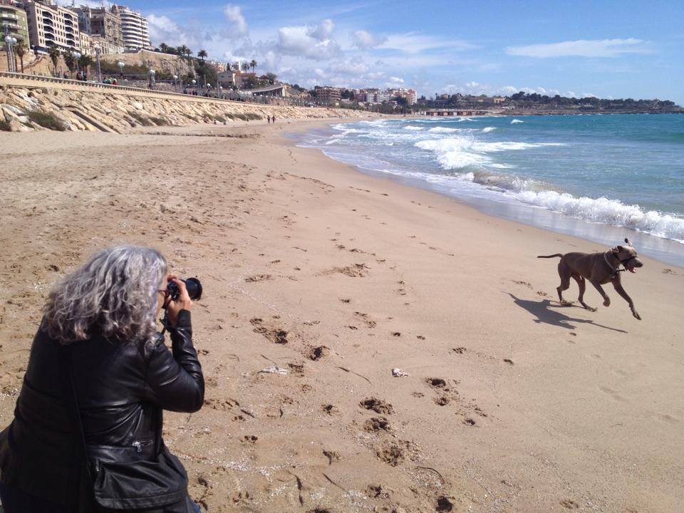 A partir de l'1 d'abril i fins el 15 d'octubre, els gossos no podran entrar a les platges de Tarragona. Foto: Facebook Gaia Tarragona