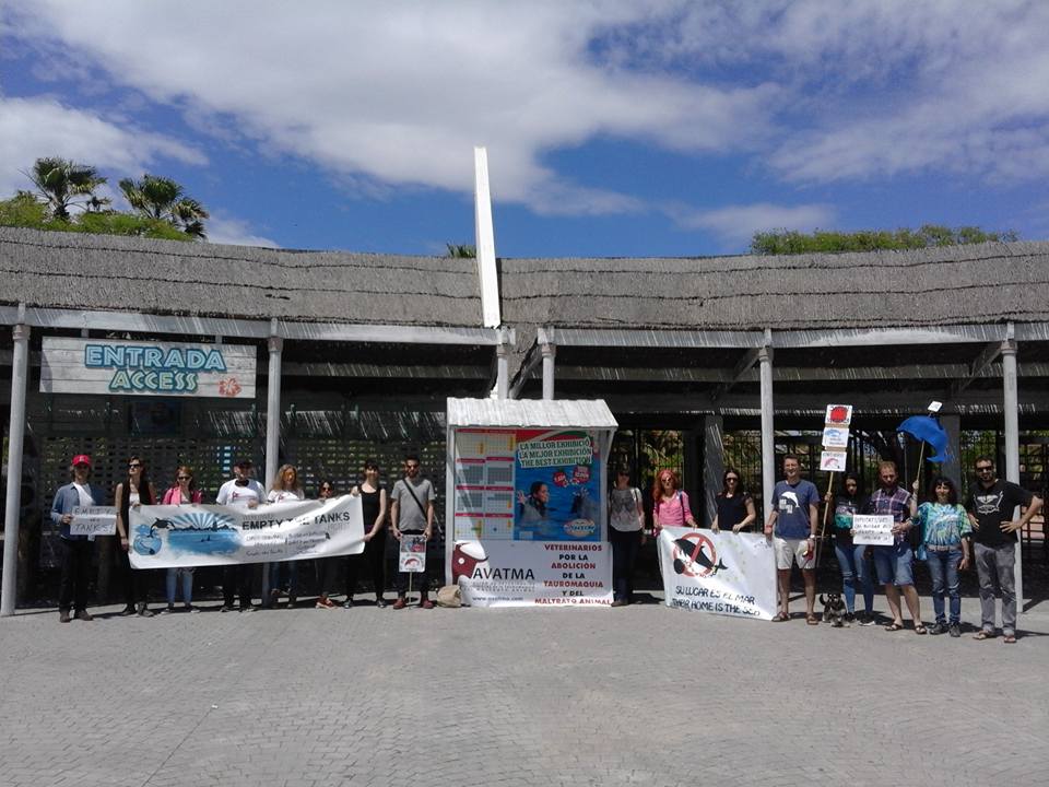 La protesta de la plataforma No al delfinari del passat diumenge. Foto: Plataforma No al Dofinari