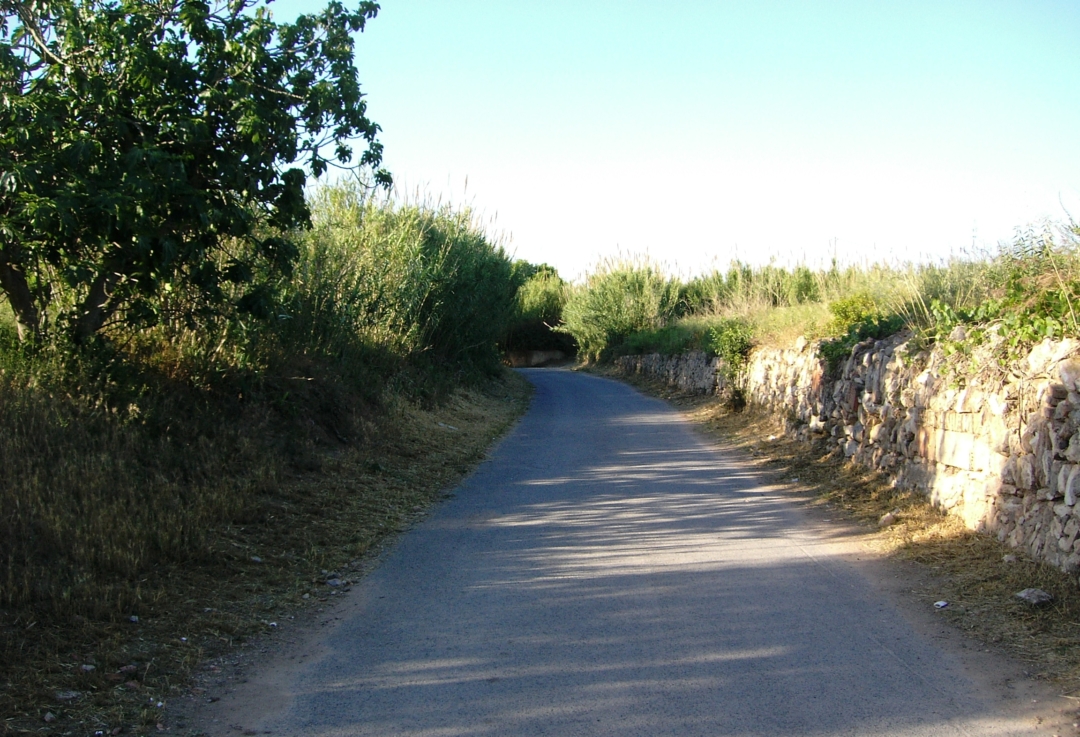El camí de la Gavarra és un dels arranjats. Foto: Cedida