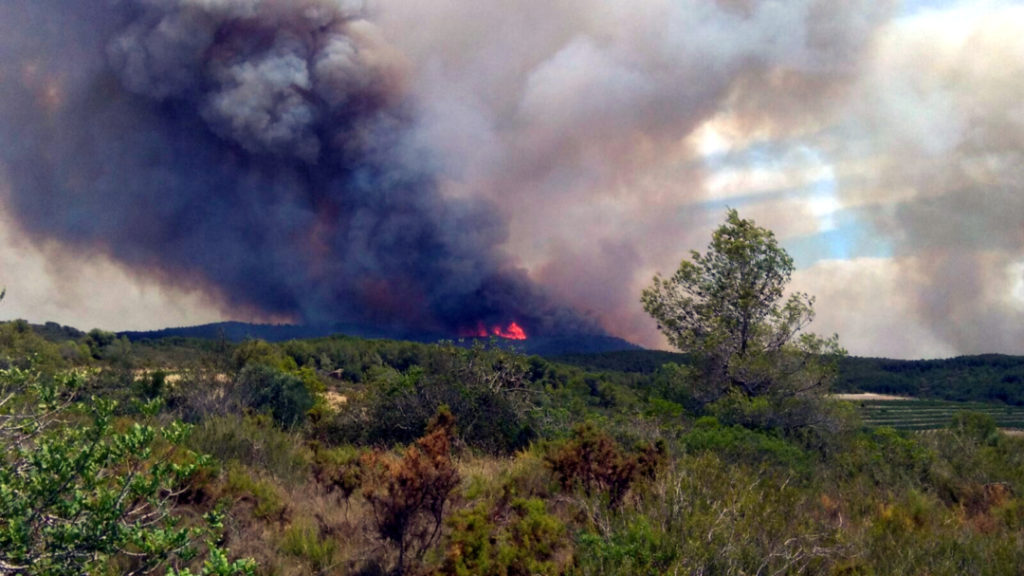 Imatge d'arxiu de l'incendi forestal de La Pobla de Montornès del passat agost. Foto: Bombers Voluntaris del Parc de Vila-rodona