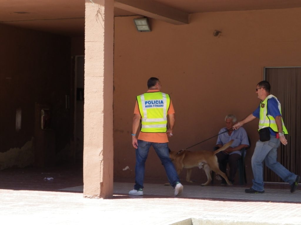 Agents de la Unitat Canina entrant al bloc. Foto: Romà Rofes / Tarragona21.cat