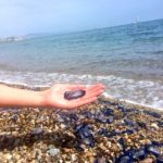 Milers de meduses envaeixen les platges de la Costa Central i Daurada