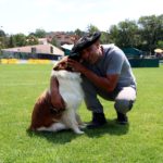 La calor marca el XXXI Concurs de Gossos d’Atura de Prades