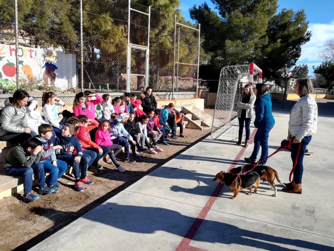 Els alumnes de tercer curs de les escoles del municipi han participat en un taller de civisme i tinença responsable d'animals