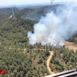 Els bombers donen per extingit l’incendi del Perelló