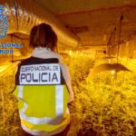 Desmantellen a Valls una grup organitzat que distribuïa marihuana arreu de l’Estat espanyol