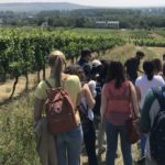 Estudiants de la URV es formen en viticultura ecològica a Alemanya