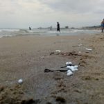 Mediterrània denuncia al Seprona unes esferes aparegudes a la platja del Miracle