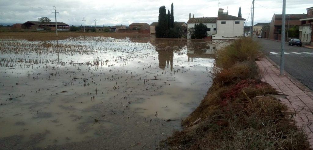 Camp inundat per la pluja d'ahir a Vila-sana (Pla d'Urgell)