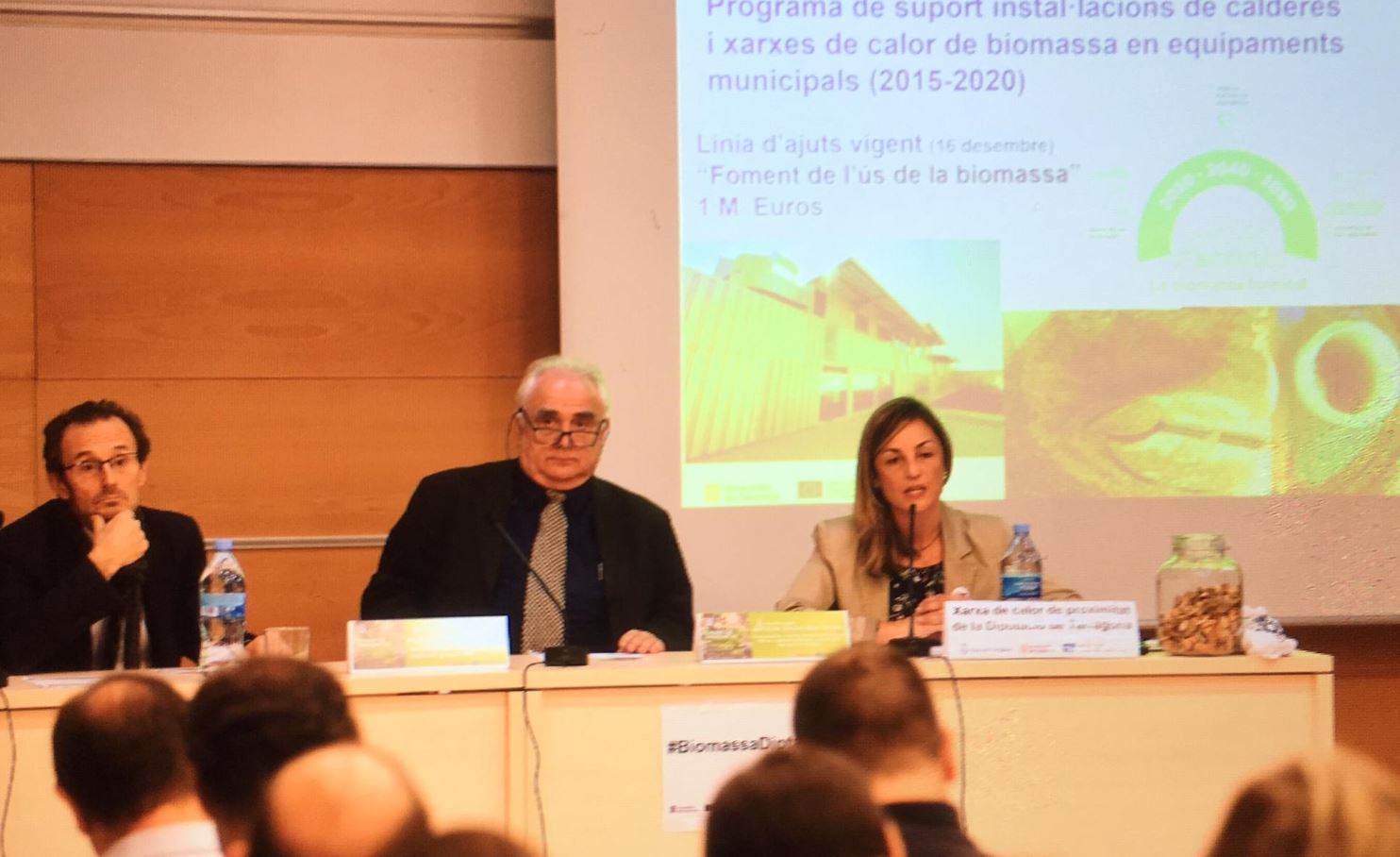 Dues jornades a Tarragona i Vandellòs informen dels beneficis de la biomassa en el sector químic, la gestió forestal i la prevenció d'incendis