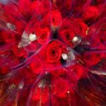 Acció solidària per regalar roses a treballadors i pacients dels hospitals de Tarragona per Sant Jordi