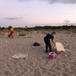 Els quinze identificats pel ‘botellón’ a Torredembarra pagaran els costos de la neteja de la platja