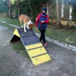 L’Ajuntament d’Altafulla presenta els dos parcs de socialització per a gossos als carrers dels Caus i del Vinyet