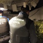 La Guàrdia Civil desmantella una plantació de marihuana del tipus indoor a Riudoms