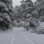 La neu impedeix circular en nou carreteres de Tarragona, col.lapsa els pobles i deixa sense llum part del Priorat