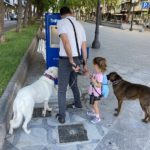 Tarragona estrena una font pública amb aigua freda per fer front a l’estiu