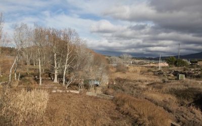 La recuperació ambiental de la zona humida de la Sallida de Montblanc, Premi Iniciativa Medi Ambient de la Diputació