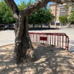La història del garrofer del parc de les Lletres Catalanes que disposarà de reg