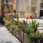 Tarragona embelleix una vintena d’espais de la ciutat amb verd urbà