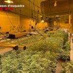 Els Mossos desmantellen una plantació de marihuana interior en una nau industrial a Riudoms