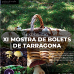 El pati Jaume I acollirà la XI mostra de bolets de Tarragona