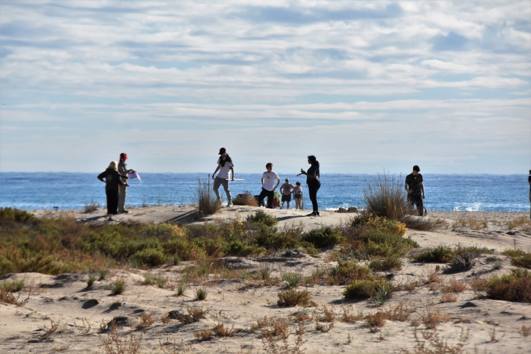 Estudiants estrangers fent treball de camp a la platja de Torredembarra. Foto: Anna F-Aj. Torredembarra